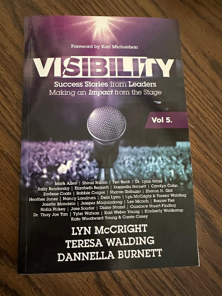 Visibility book cover